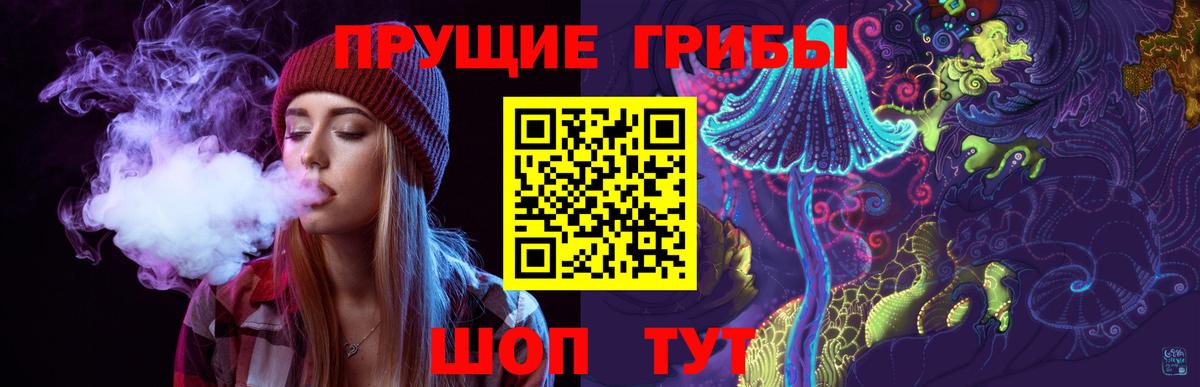 Зеленодольск  Псилоцибиновые грибы прущие грибы  Вход с VPN 